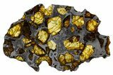 Polished Imilac Pallasite Meteorite (g) Slice #302093-1